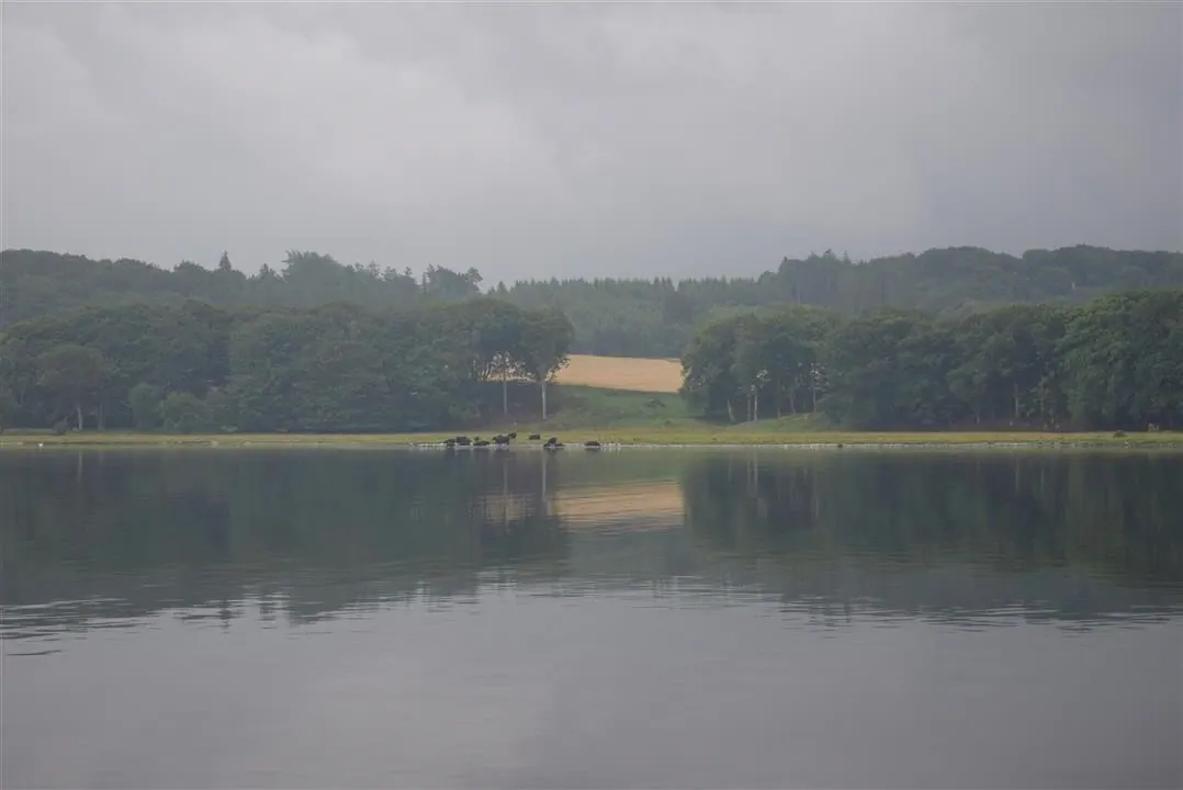 Assens and the North of Denmark 2017